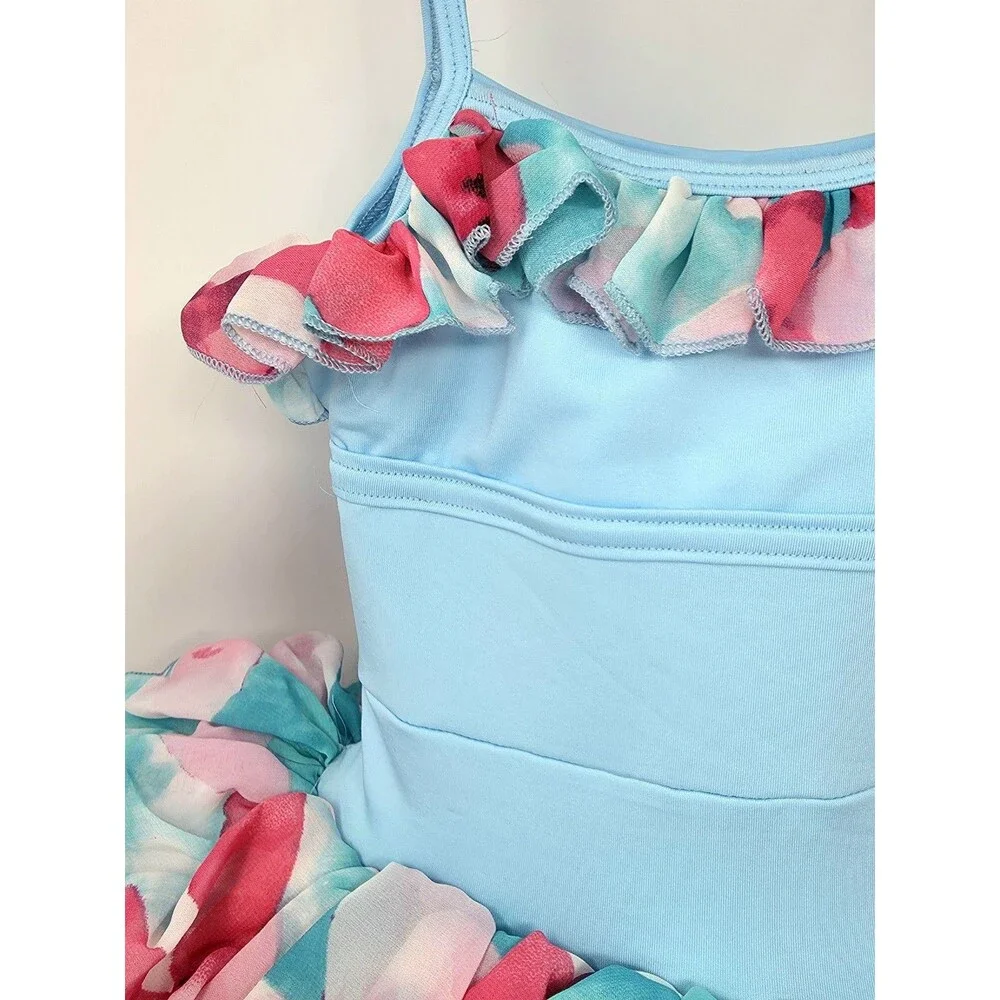 Duck Crossing Girls Ruffle Ballet Tutu Dress 1pc Skirted Leotard Tulle Blue Pink